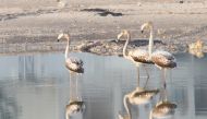 Peninsula