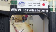 This undated file picture released on February 7, 2008 by the Australian Customs Services shows a mother whale and her calf being dragged on board a Japanese ship after being harpooned in Antarctic waters. More than 80 nations square off in Slovenia next 