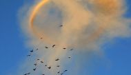 Birds fly near rising smoke and a smoke ring after a strike on the rebel-held besieged al-Shaar neighbourhood of Aleppo, Syria November 26, 2016. REUTERS/Abdalrhman Ismail
