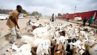 This image is used for graphical purpose only. Goats are driven to the Kiamaiko market on March 26, 2016 (Photo courtesy: Jack Owuor / the-star.co.ke) 