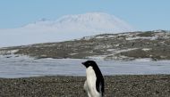 The Paris climate-rescue deal reached to combat global warming, rapidly melting Antarctic ice, is under threat with the new US administration (AFP Photo/MARK RALSTON)
