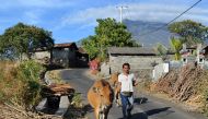 File picture of farmers moving cattle. AFP 