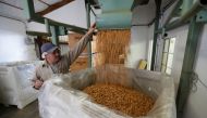 Carmelo Morillo fills a shipping container with almonds at Capay Canyon Ranch in Esparto, California, U.S. April 2, 2018. Reuters / Elijah Nouvelage