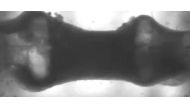 A screengrab from a video, showing the human heart muscle made out of stem cells, released by Columbia University School of Engineering and Applied Science.
