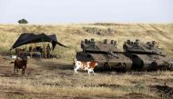Merkava Mark IV tanks are deployed next to cows near the Syrian border in the Israel-annexed Golan Heights on May 10, 2018. AFP / Menahem Kahana