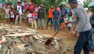 Local residents look at the carcasses of hundreds of crocodiles from a breeding farm after they were killed by angry locals following the death of a man who was killed in a crocodile attack in Sorong regency, West Papua, Indonesia July 14, 2018 in this ph