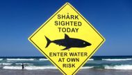 File photo of a sign declaring a shark sighting on Sydney's Manly Beach, Australia, November 24, 2015, used for representaion. REUTERS/David Gray/File Photo 