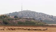 A herd of sheep graze near the Lebanese-Israeli border in Kfar Kila village southern Lebanon, August 24, 2015. Reuters/Aziz Taher