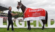 Winx after winning the Cox Plate for a fourth time last year (Racing Photos) 