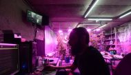 Georgian entrepreneur Shota Siradze works at a computer mining cryptocurrency inside a basement turned urban farm in Tbilisi, Georgia on March 12, 2019. Thomson Reuters Foundation/Umberto Bacchi