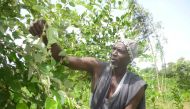 Seydou Keïta on his farm where he uses the FMNR method to regrow trees that have been partially cut down in Kolokani, Mali. September 13, 2019. Soumaila Diarra/Thomson Reuters Foundation