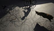 A Kashmiri man rides a bicycle past concertina wire during restrictions, following scrapping of the special constitutional status for Kashmir by the Indian government, in Srinagar September 15, 2019. Reuters/ Francis Mascarenhas
 