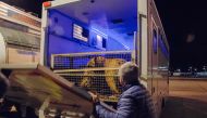 One of ten tigers transported from Italy to Russia is stuck on the Polish-Belarusian border at Koroszczyn, Poland on October 29, 2019.  AFP / Ryszard Godlewski
 