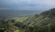 This photograph, taken on September 28, 2019, shows the crops bordering Virunga National Park, northeast of the Democratic Republic of Congo. In North Kivu province, illegal logging is one of the main threats to the conservation of Virunga National Park a