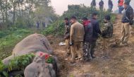 Indian villagers and forestry workers gather around the body an elephant after a speeding passenger train struck two elephants crossing the rail tracks at Batasi village near India-Nepal border, some 37 kms from Siliguri on December 11, 2019. AFP
 