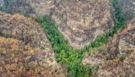 An aerial view of Wollemi National Park where endangered Wollemi Pines are being protected from bushfires by a specialist team of remote-area firefighters and parks staff at New South Wales, Australia mid-January 2020 NSW NPWS/Handout via REUTERS