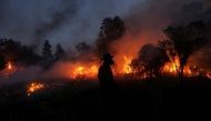 File picture of Indonesian fire. Reuters