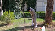 Iran's Supreme Leader Ayatollah Ali Khamenei using a shovel while in the process of planting a tree in a garden during a ceremony marking the week of 