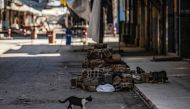 A stray cat crosses a street near the closed meat market in the center of Qamishli city, in Syria's northeastern Hasakeh province, on April 18, 2020,  AFP / DELIL SOULEIMAN