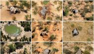 FILE PHOTO: A combination photo shows dead elephants in Okavango Delta, Botswana May-June, 2020. PHOTOGRAPHS OBTAINED BY REUTERS/Handout via REUTERS