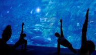 People take part in a yoga class at Ocean Park's aquarium, as a new activity to attract visitors amid a drop in tourists due to the coronavirus disease (COVID-19) outbreak, in Hong Kong, China October 8, 2020. REUTERS/Tyrone Siu