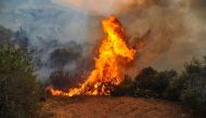 A fire devouring a forest in Syria's Latakia province.  SANA