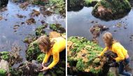 Billie Rea, 11, rescues a draughtboard shark trapped in shallow waters by an outgoing tide, before releasing it in deeper waters, near Kingston Beach, in Tasmania, Australia November 18, 2020, in this still image obtained from a social media video. Courte
