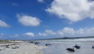 Pilot whales are seen stranded on the beach in Chatham Islands, New Zealand November 22, 2020 in this picture obtained from social media. Picture taken November 22, 2020. Jemma Welch/Department Of Conservation Nz Via Reuters
