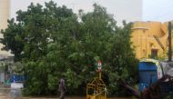 A municipal worker wade past an uprooted tree after heavy rains and wind along a waterlogged road following Cyclone Nivar landfall, in Puducherry on November 26, 2020. Accurate forecasting and the evacuation of several hundred thousand people helped avert