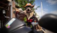 Bogie, the pet dog of motorcycle enthusiast Gilbert Delos Reyes, wearing shades and a helmet sits on his owner's motorcycle, in Imus, Cavite, Philippines, November 26, 2020. Picture taken November 26, 2020. REUTERS/Eloisa Lopez