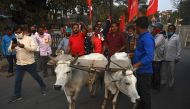 Farmers and activists from various political groups along with bulls take part in a rally in support of farmers against the central government's recent agricultural reforms in Kolkata on December 16, 2020. / AFP / Dibyangshu SARKAR
