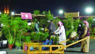 Pictures by Abdul Basit / The Peninsula 