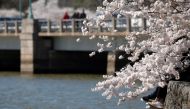 Visitors sit along a tidal wall while observing the annual cherry blossoms at the Tidal Basin near the National Mall in Washington, U.S., March 29, 2021. REUTERS/Tom Brenner