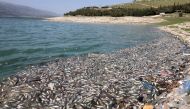 Dead fish are seen floating in Lake Qaraoun on the Litani River, Lebanon April 29, 2021. Picture taken April 29, 2021. REUTERS/Mohamed Azakir
