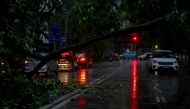 Vehicles move past a fallen tree on a road after heavy winds caused by Cyclone Tauktae, in Mumbai, India, May 17, 2021. Reuters/Hemanshi Kamani
