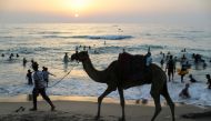 A man walks by with a camel as Palestinians spend time at a beach in Gaza July 2, 2021. (Reuters/Mohammed Salem)