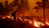 U.S. Forest Service firefighter Ben Foley lights backfires to slow the spread of the Dixie Fire, a wildfire near the town of Greenville, California, U.S. August 6, 2021. REUTERS/Fred Greaves
