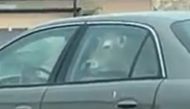 Screenshot of the video shared by Jessica Nelson
