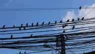 FILE PHOTO: Birds sit on electricity cables in Tyre, Lebanon July 18, 2020. Picture taken July 18, 2020. REUTERS/Aziz Taher
