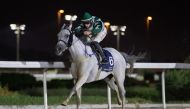 Marco Casamento guides Texas to victory.