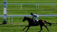 Jean-Bernard Eyquem and Caracal on their way to win at Bordeaux-Le-Bouscat. Pic: Laurent Ferriere