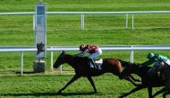 Jockey Alexandre Gavilan guides Zarakhan to victory. Pic: Laurent Ferriere