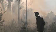 A specialist of Russian Federal Agency for Forestry works to put out a forest fire outside the village of Basly in Omsk Region, Russia August 11, 2020. Reuters/Alexey Malgavko/File Photo