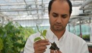 Mohamed Hassona, Horticulturist at the Qur’anic Botanic Garden