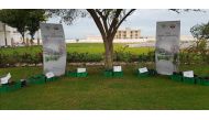 Seedlings of wild trees set ready for distribution by Al Shamal Municipality.