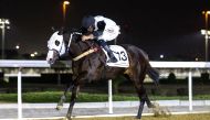 Faleh Bughanaim guides Sidcot Swallet towards the finish line to win the Wadi Al Sail Cup.