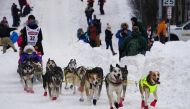 Musher Mille Porsild of Denmark, #32, steers her sled down a hill during the ceremonial start of the 2020 Iditarod Trail Sled Dog Race in Anchorage, Alaska, U.S., March 7, 2020.REUTERS/Yereth Rosen