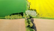 An aerial view shows a yellow rapeseed, wheat and sugar beet fields in Carnieres, France, May 18, 2021. Picture taken with a drone. REUTERS/Pascal Rossignol/File Photo
