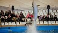 Ukrainian families, who have fled Kherson amid the Russian invasion, watch a dolphin show at a hotel, in Odesa, Ukraine April 9, 2022. Reuters/Ueslei Marcelino
