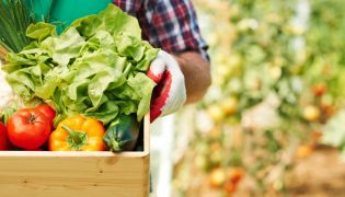 Image used for representation only